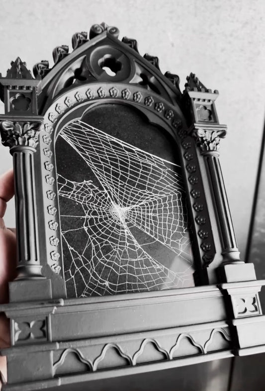 Arachnic Cathedral Frame with Real Preserved Spiderweb