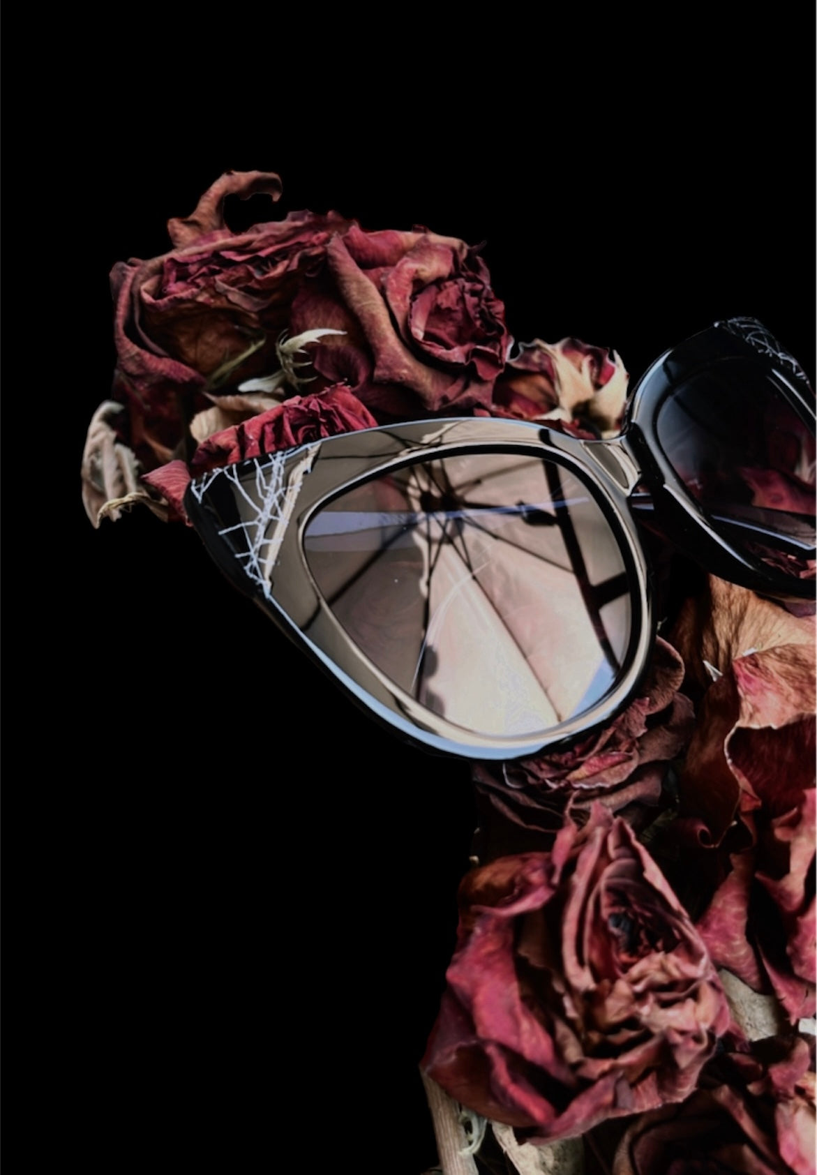 Cat-Eye Preserved Spiderweb Black Gloss Suglasses