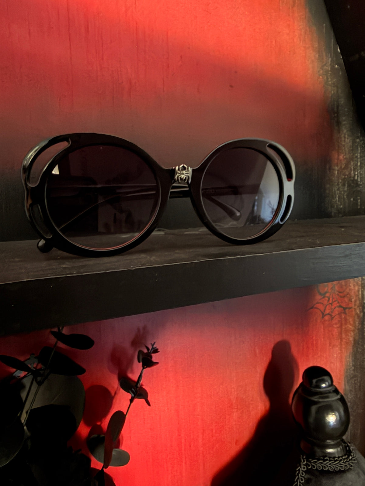 Bardot Sunglasses