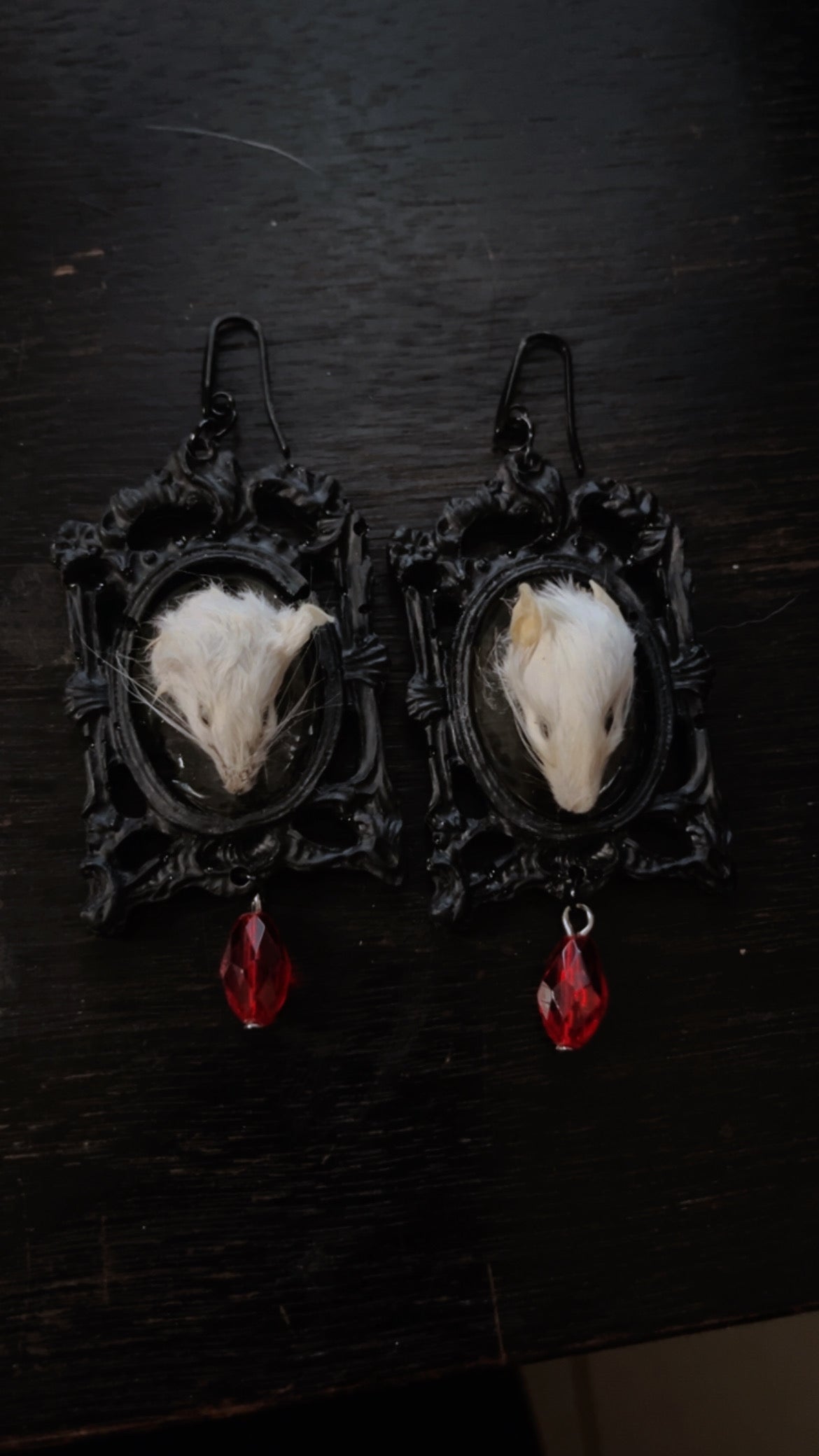 Mice Head Taxidermy Earrings