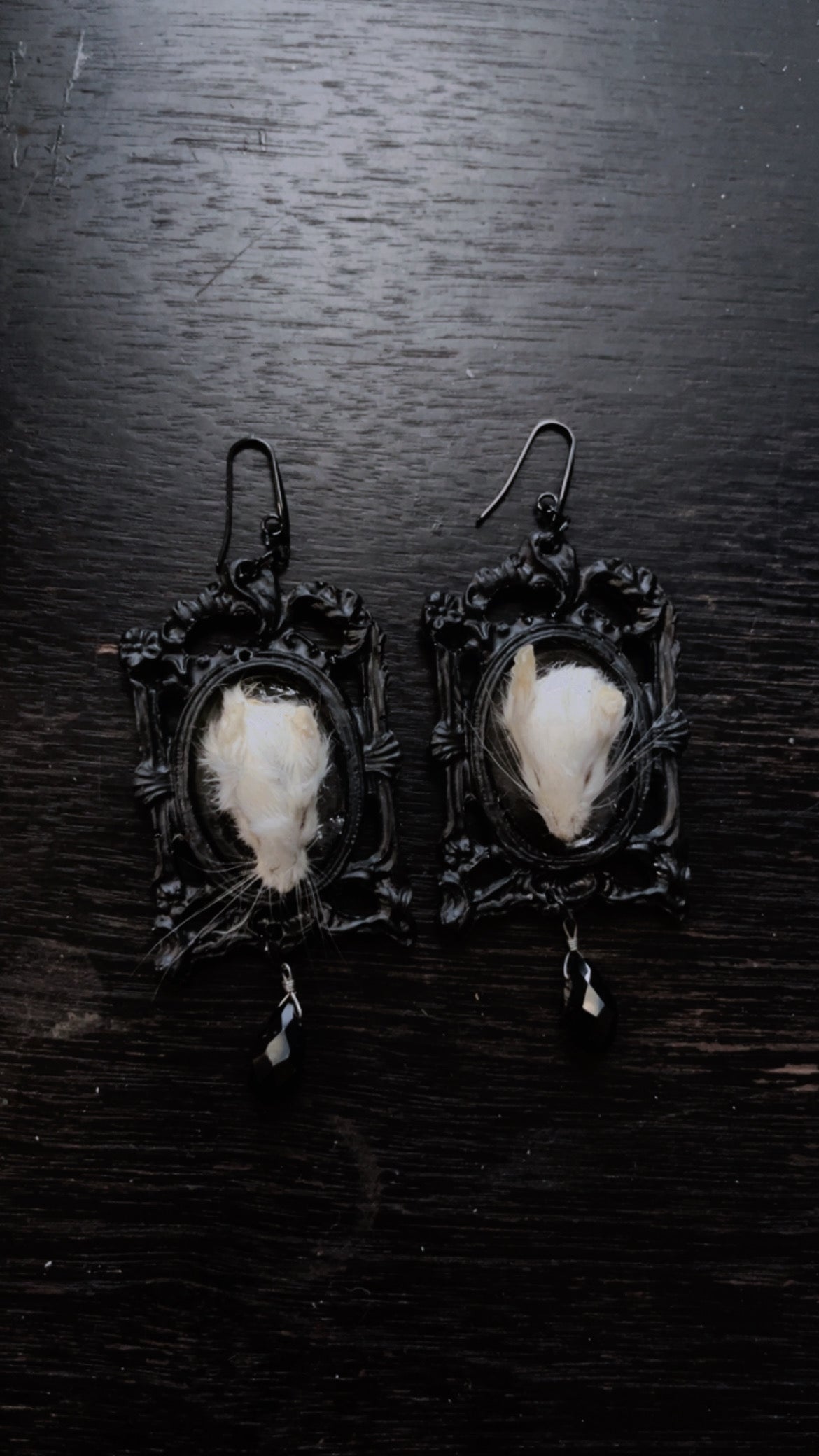 Mice Head Taxidermy Earrings