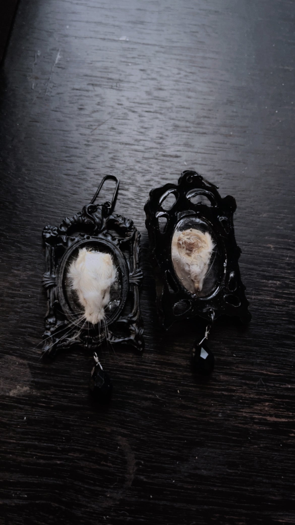 Mice Head Taxidermy Earrings