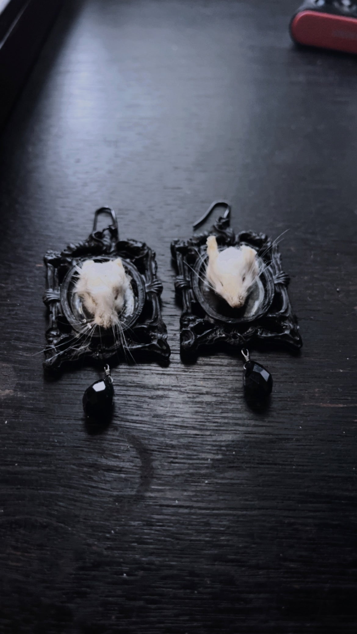 Mice Head Taxidermy Earrings