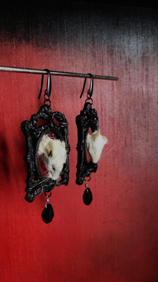 Mice Head Taxidermy Earrings
